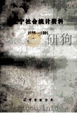 辽宁社会统计资料  1985-1991   1992  PDF电子版封面    辽宁省统计局编 