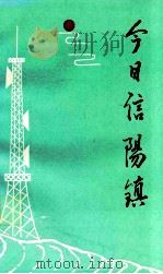 今日信阳镇（1991 PDF版）
