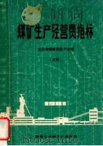 煤矿生产经营费指标  竖井单绳罐笼提升分册  试用     PDF电子版封面     