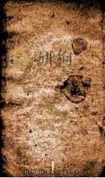 淮南子  卷9-12（1804 PDF版）