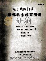 电子线阵扫描腹部临床超声图谱   1985  PDF电子版封面    TOSHIJI KOBAYASHI，MINORU HAYAS 