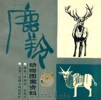 鹿羚  动物图案资料   1987  PDF电子版封面    严瑜仲，全燕云编绘 