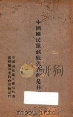 中国国民党到底代表的是什么   1928  PDF电子版封面    中国国民党天津特别市党务指导委员会宣传部编 