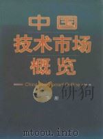 中国技术市场概览  上册     PDF电子版封面    1998 