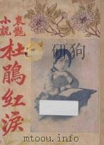 杜鹃红泪  哀艳小说（1925 PDF版）