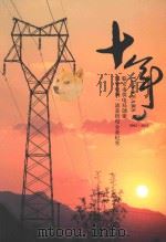 十年  临安市供电局创建国家电网一流县供电企业纪实  2002-2011（ PDF版）