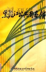 黑龙江公共图书馆   1989  PDF电子版封面    夏洪川主编 
