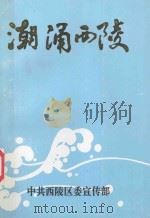 潮涌西陵   1999  PDF电子版封面    《潮涌西陵》编委会编 