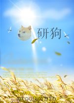 英语语言点精编     PDF电子版封面    李阳春主编 