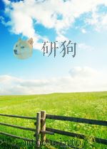 刘炎的专业报告     PDF电子版封面    刘炎 