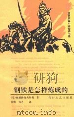 钢铁是怎样炼成的   1996  PDF电子版封面  7806113347  （苏）奥斯特洛夫斯基著；仰熙，凤芝译 