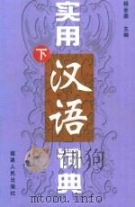 实用汉语词典  下（ PDF版）
