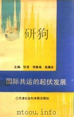 国际共运的起伏发展  1848-1990     PDF电子版封面    张泽 