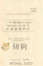 小叶杨 POPUIUS SIMONII CARRIESE 幼苗生长动态的研究  中国科学院治沙队1962年科学研究总结会议   1962  PDF电子版封面    蒲锦春，鲁作民，王国校编 