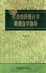 社会经济统计学原理自学指导   1989  PDF电子版封面  7501702284  胡国强著 