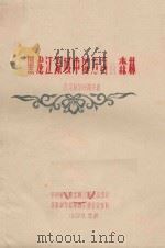 黑龙江流域中国方面的森林   1959  PDF电子版封面    В.Я.柯尔丹诺夫著 