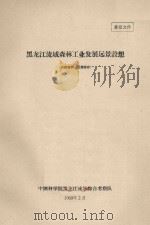 黑龙江流域森林工业发展远景设想   1960  PDF电子版封面     