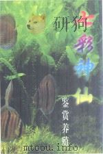 七彩神仙鉴赏养殖   1997  PDF电子版封面  7538120068  本书编写组编 