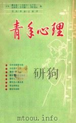 青年心理   1984  PDF电子版封面    （日本）藤永保，三宅和夫，山下荣一，依田明，空井键三，伊泽秀 