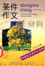 中学生分类作文全库  条件作文   1992  PDF电子版封面  7504108995  张全夫，陈万绪，齐珂著 