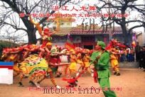 湛江人龙舞  第一批国家级非物质文化遗产保护名录（ PDF版）