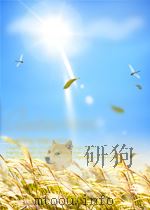 贵州民族调查  （之七）     PDF电子版封面    贵州省民族研究学会 
