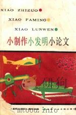 小制作小发明小论文   1987  PDF电子版封面  743487  该书编写组编 