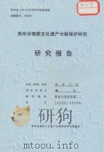 贵州非物质文化遗产分级保护研究  研究报告（ PDF版）