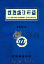 武胜统计年鉴  1999年     PDF电子版封面    武胜县统计局编；熊先明主编；汤莲，杨勇副主编 