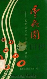 丰硕园  武胜县文学创作成果选集   1997  PDF电子版封面    高志坚主编；高其友，冯林，周苍林副主编 