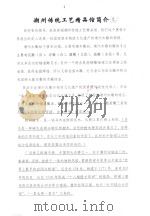 潮州传统工艺精品馆简介     PDF电子版封面     
