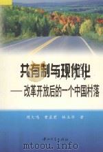 共有制与现代化  改革开放后的一个中国村落   1998  PDF电子版封面  7306014072  周大鸣等著 