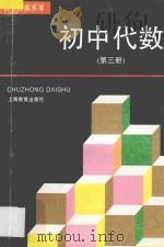 自学提高丛书  初中代数  第3册   1996  PDF电子版封面  7532038793  顾鸿达，刘渝瑛，钟建国编 