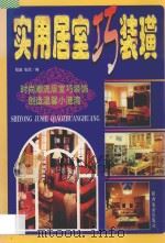 实用居室巧装潢   1998  PDF电子版封面  7541815292  程鑫，张欣编 