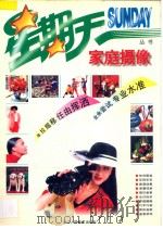 家庭摄影   1995  PDF电子版封面  7534005043  路石，永强选编；戴永，傅强撰文 