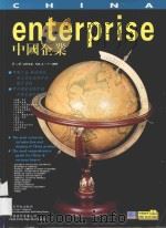 中国企业  第2册（1995 PDF版）