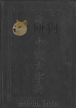 统一中文大字典  代数部首查字法   1983  PDF电子版封面    王汉星主编 