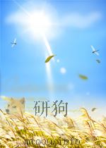 甲申朝事小纪（下册）三、四编     PDF电子版封面     
