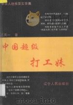 中华人物报告文学集  中国超级打工妹   1995  PDF电子版封面  7205032113  王天一著 