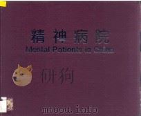 精神病院  袁冬平摄影集   1996  PDF电子版封面  7800071995  袁冬平摄 