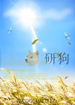 泽州文史资料  第7辑  经典阳阿     PDF电子版封面    樊秋宝主编 