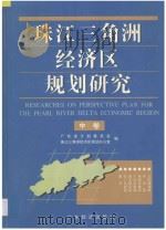 珠江三角洲经济区规划研究  中   1996  PDF电子版封面  7806320008  广东省计划委员会，珠江三角洲经济区规划办公室编 