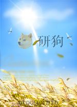 “李二嫂改嫁”选曲   1959  PDF电子版封面    张斌 