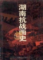 湖南抗战画史   1995  PDF电子版封面  7535522629  湖南省政协文史委员会编 