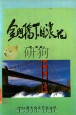 金门桥下的浪花   1989  PDF电子版封面    老南著 