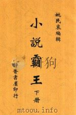 小说霸王  下   1919  PDF电子版封面    姚民哀编辑 