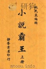 小说霸王  上   1919  PDF电子版封面    姚民哀编辑 