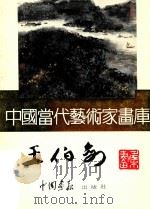 中国当代艺术家画库 王伯民     PDF电子版封面    王伯民著 