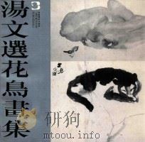 汤文选花鸟画集   1986  PDF电子版封面    汤文选绘 