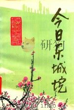 今日东城垸   1997  PDF电子版封面     